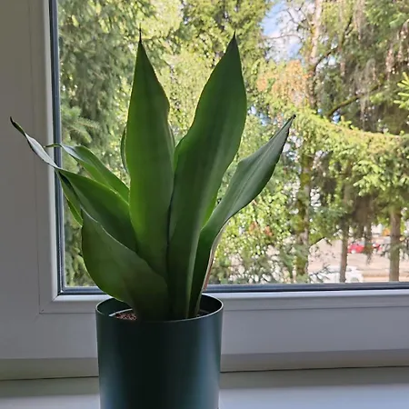 23 Apartman Banja Luka