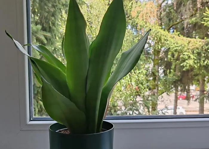 23 Apartamento Banja Luka